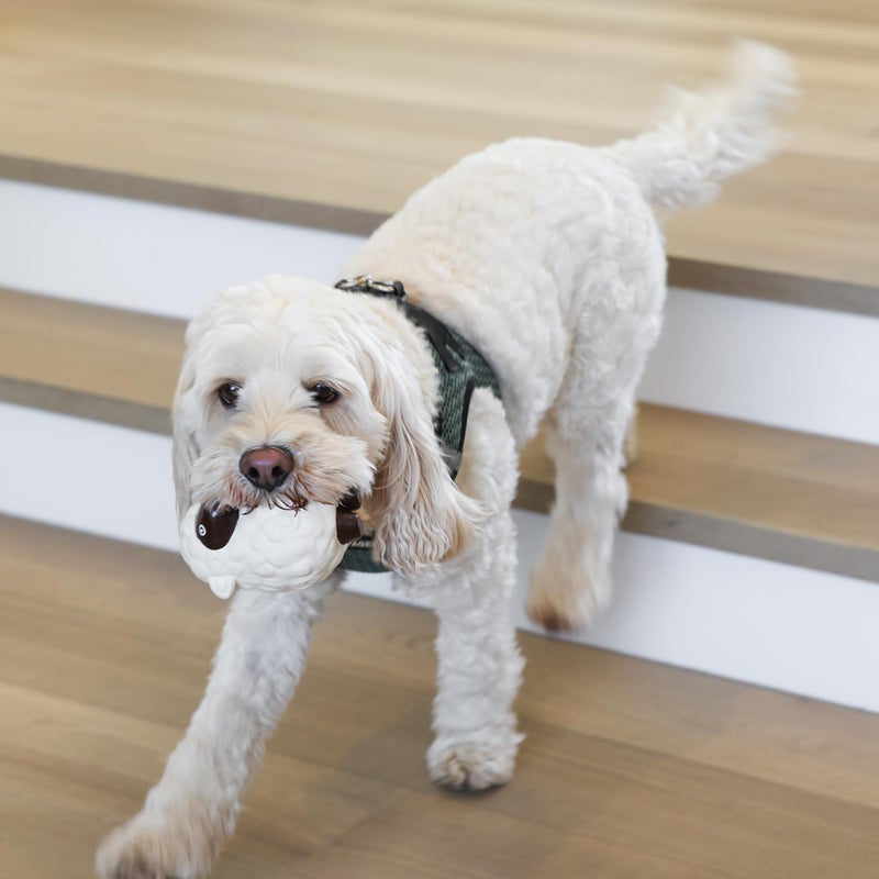 rocket & rex Dog Chew Toy Set for Small to Medium Breeds, Includes a Rope Toy, Rubber Squeaker and Plush Toys with Ball, Reduces Destructive Chewing & Anxiety (Pack of 3) - Image 2